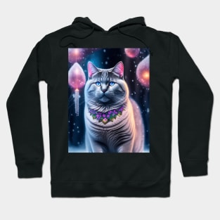 British Shorthair Cat Glows in a Winter Wonderland Hoodie